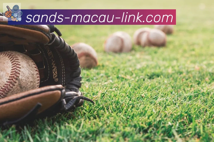 金沙娱乐城发展历程