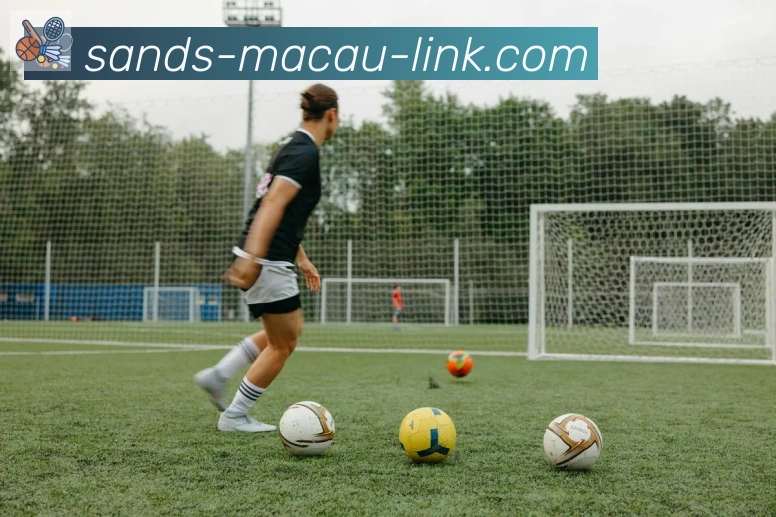 金沙娱乐城服务体系