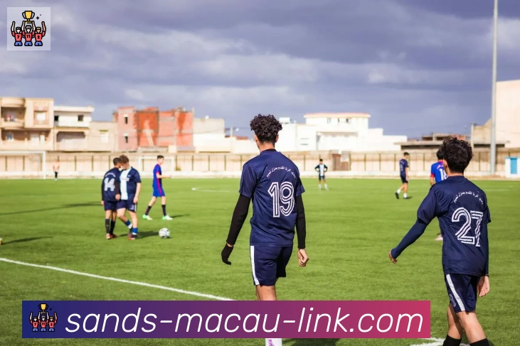 App Interface Preview