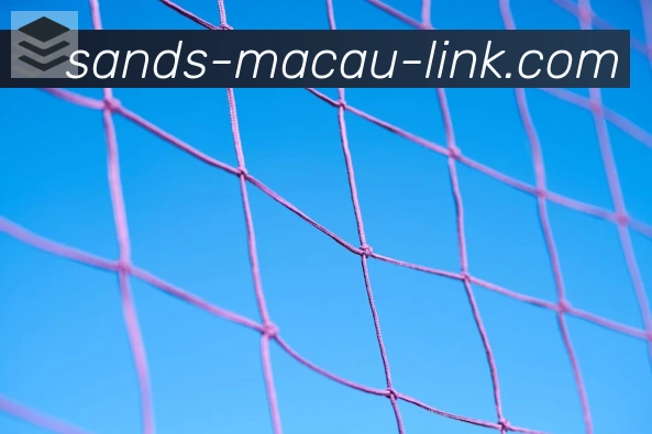 金沙娱乐城荣誉