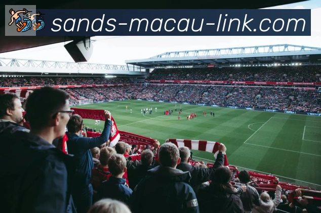 金沙娱乐城荣誉