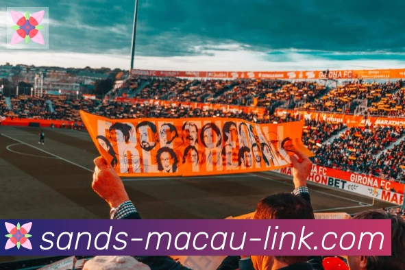 金沙娱乐城荣誉