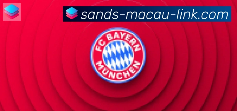 金沙娱乐城合作伙伴